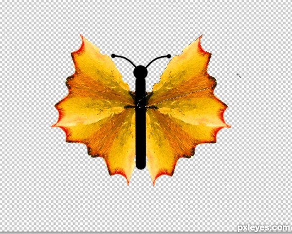 Creation of Butterfly: Step 9